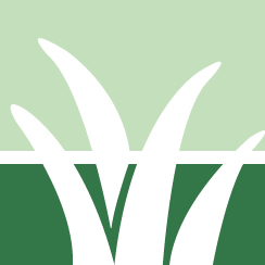 Poison Ivy Removal Pros