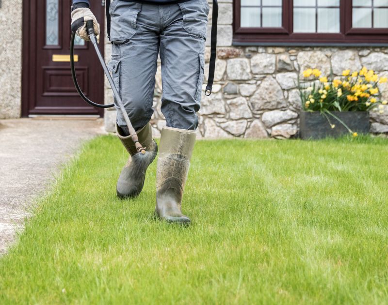 Grass Treatment in Ventura County, CA