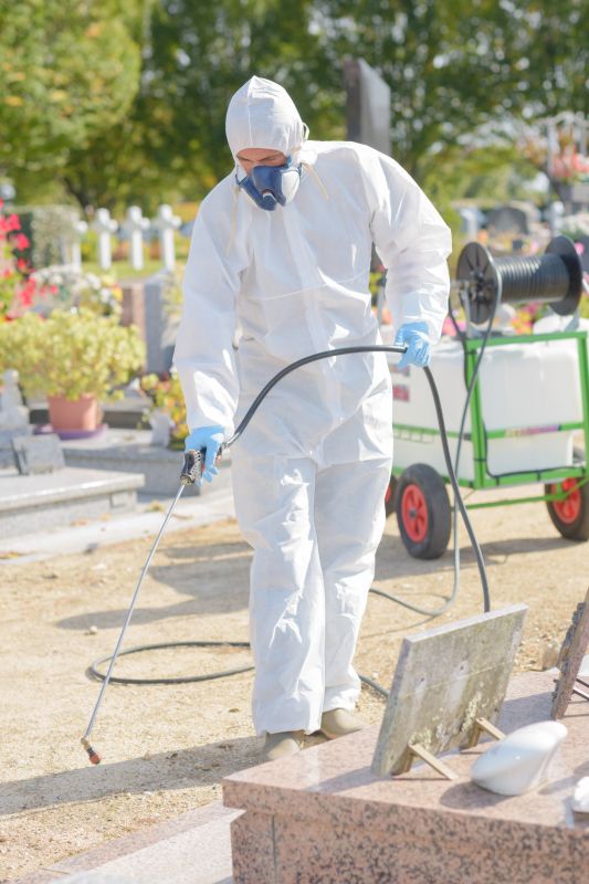 Weed Spraying in Rockwall, TX