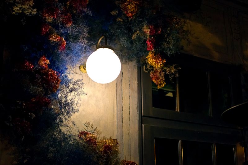 Courtyard Light Installation in Utah County, UT