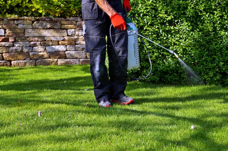 Crabgrass Removal in Honolulu, HI