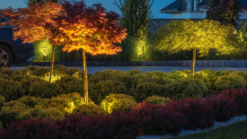 Landscape Lighting Installation in Littleton, CO