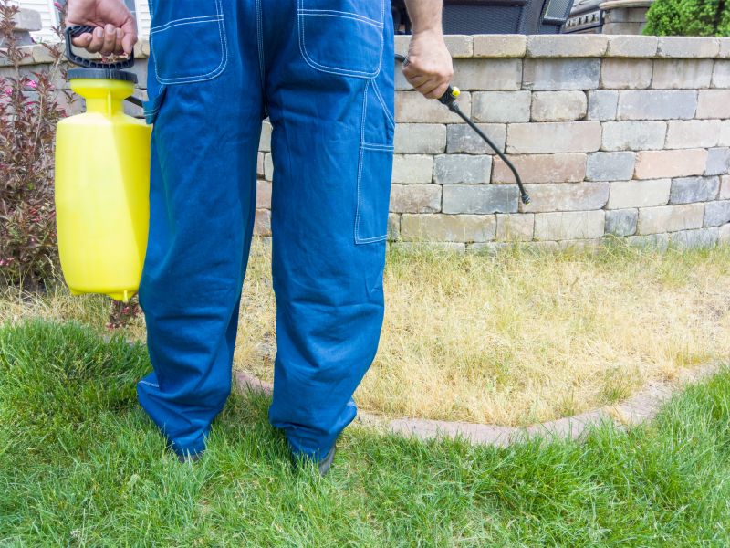 Lawn Disease Treatment in Honolulu, HI