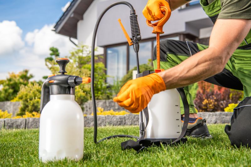 Lawn Disease Treatment in Honolulu, HI