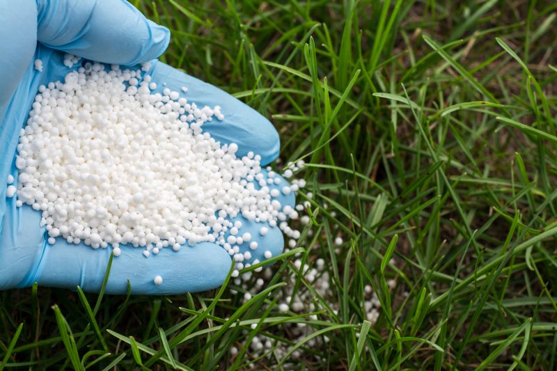 Lawn Enrichment in Ventura County, CA