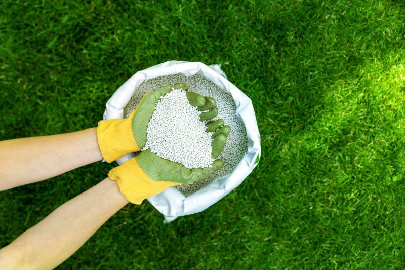 Lawn Fertilizing Service in Ventura County, CA