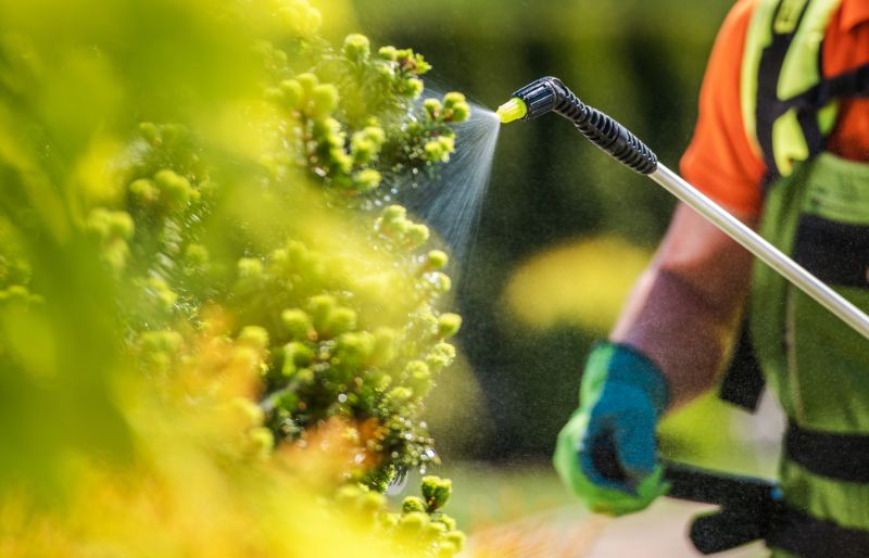 Lawn Herbicide Treatment in Rockwall, TX