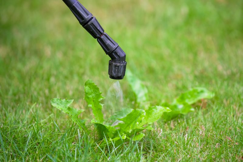 Lawn Weed Spraying in Honolulu, HI