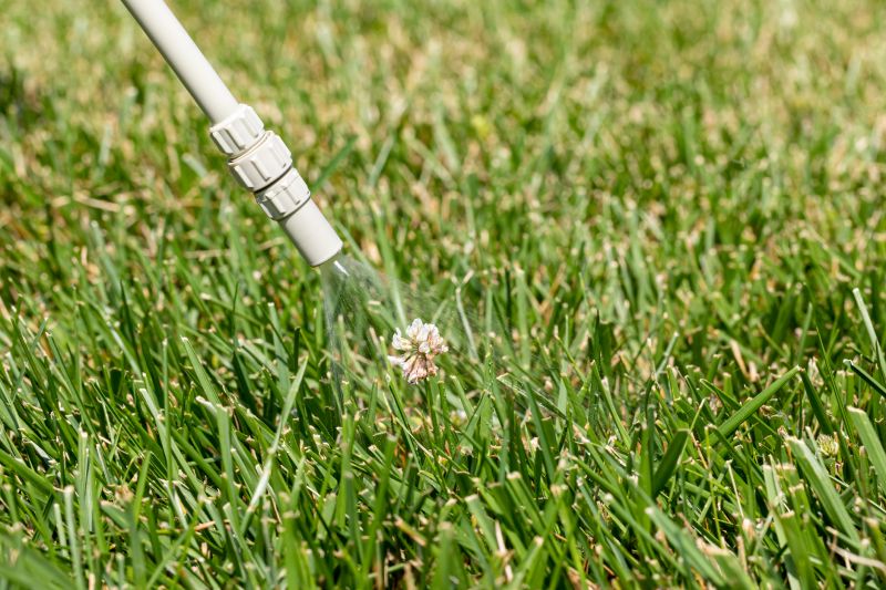 Lawn Weed Spraying in Ventura County, CA