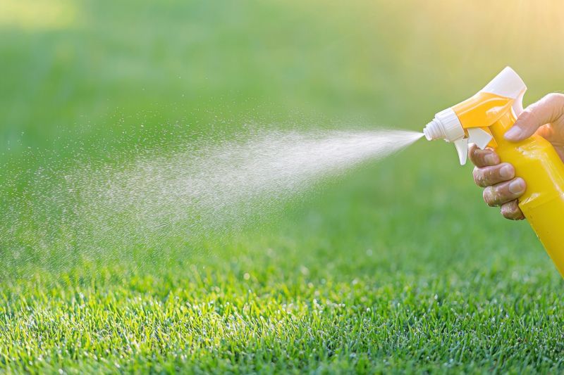 Pampas Grass Control in Honolulu, HI