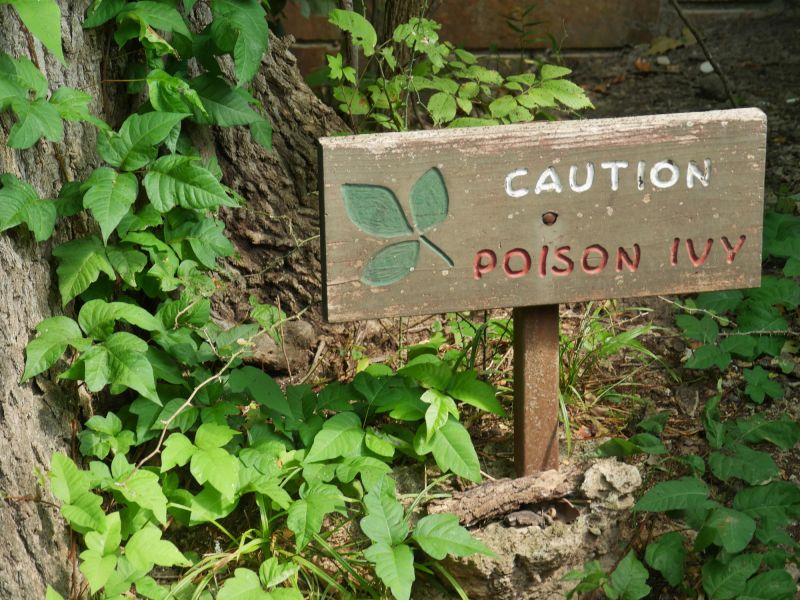 Poison Ivy Removal Equipment