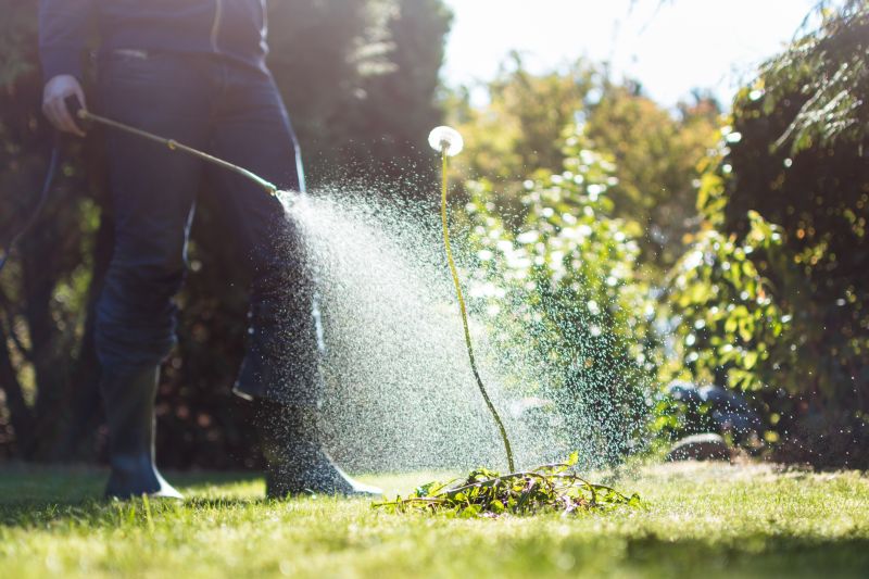 Slope Weed Control in Rockwall, TX