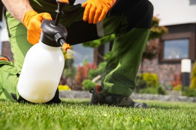 Thistle Control in Rockwall, TX