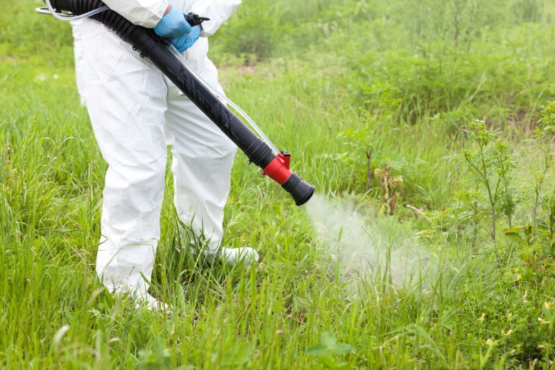 Thistle Control in Rockwall, TX