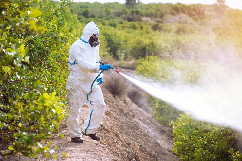 Thistle Control in Rockwall, TX