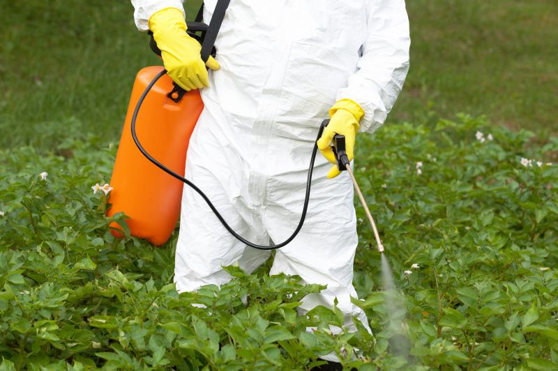 Thistle Control in Aiken, SC