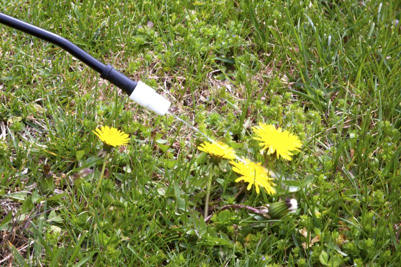 Thistle Treatment in Rockwall, TX
