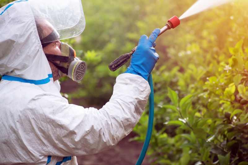 Weed Control Service in Honolulu, HI