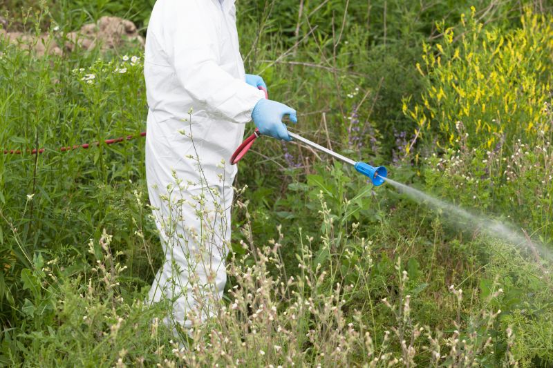 Weed Control Service in Honolulu, HI