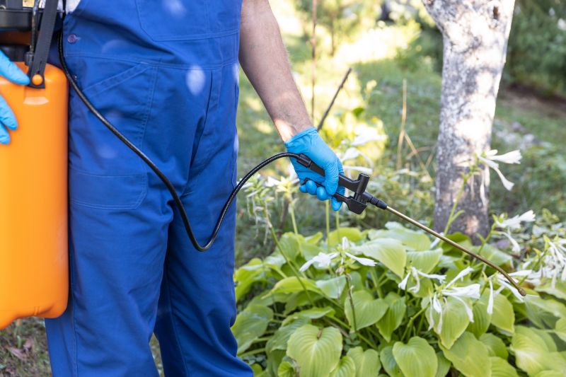 Weed Spraying in Honolulu, HI