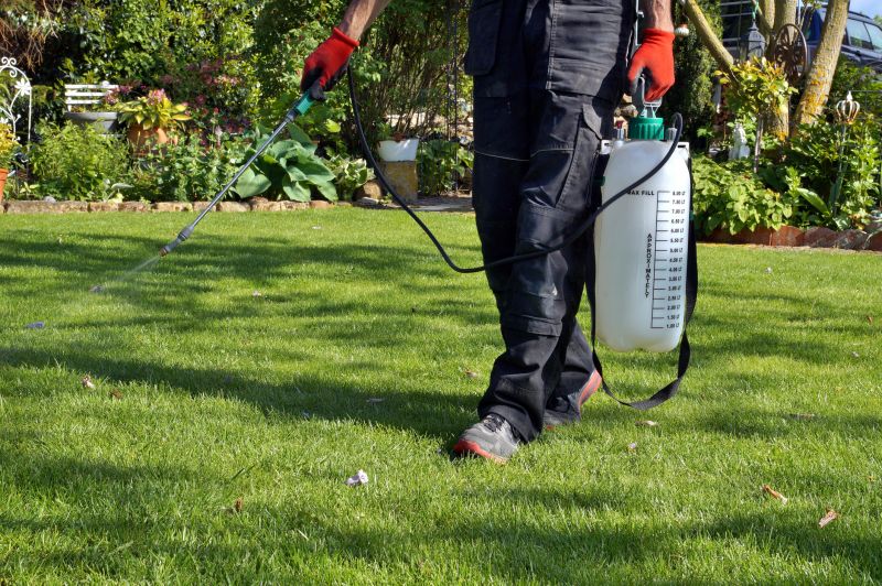 Yard Treatment Service in Honolulu, HI